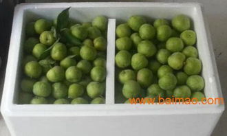 优质正宗茂县青脆李 从基地直供到您的果盘
