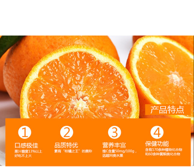 招商合作 优质柑桔，鲜果零售新机遇