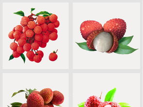 高清新鲜水果荔枝PNG透明素材与PSD模板下载指南