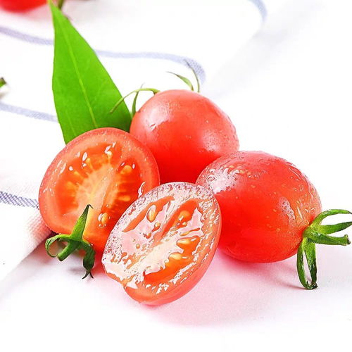 云南特产新鲜圣女果 孕妇优选，绿色健康